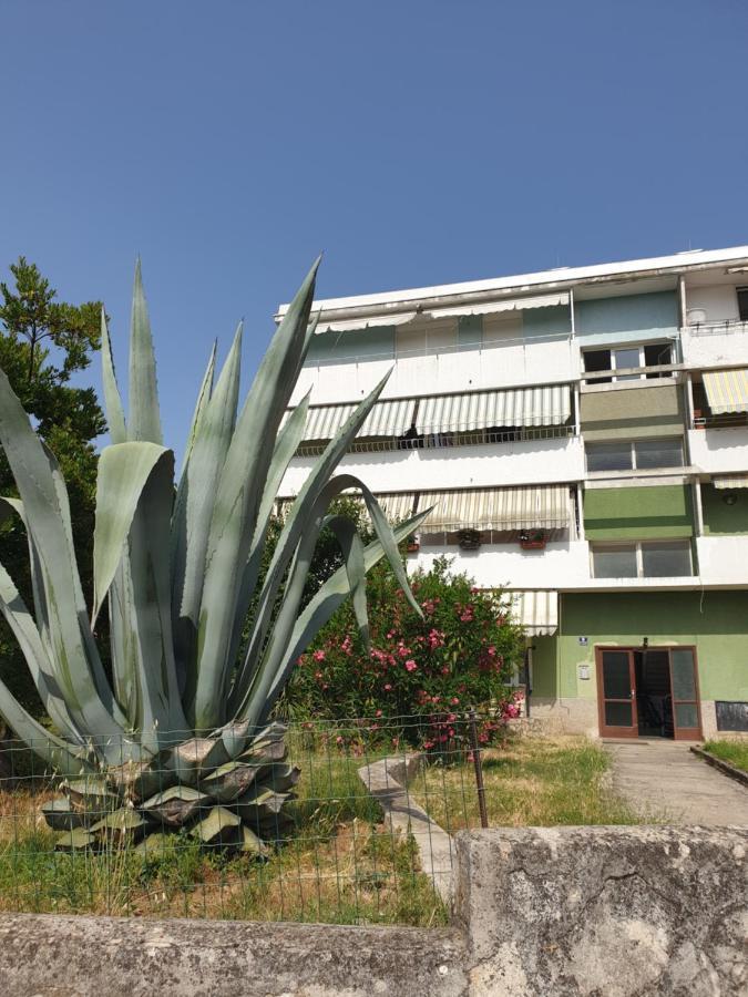 Apartment Maeistro By Privileggio Residence Rovinj Zewnętrze zdjęcie
